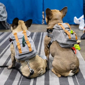 The JBark Backpack