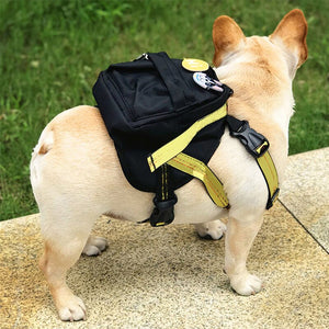 Back 2 School Harness