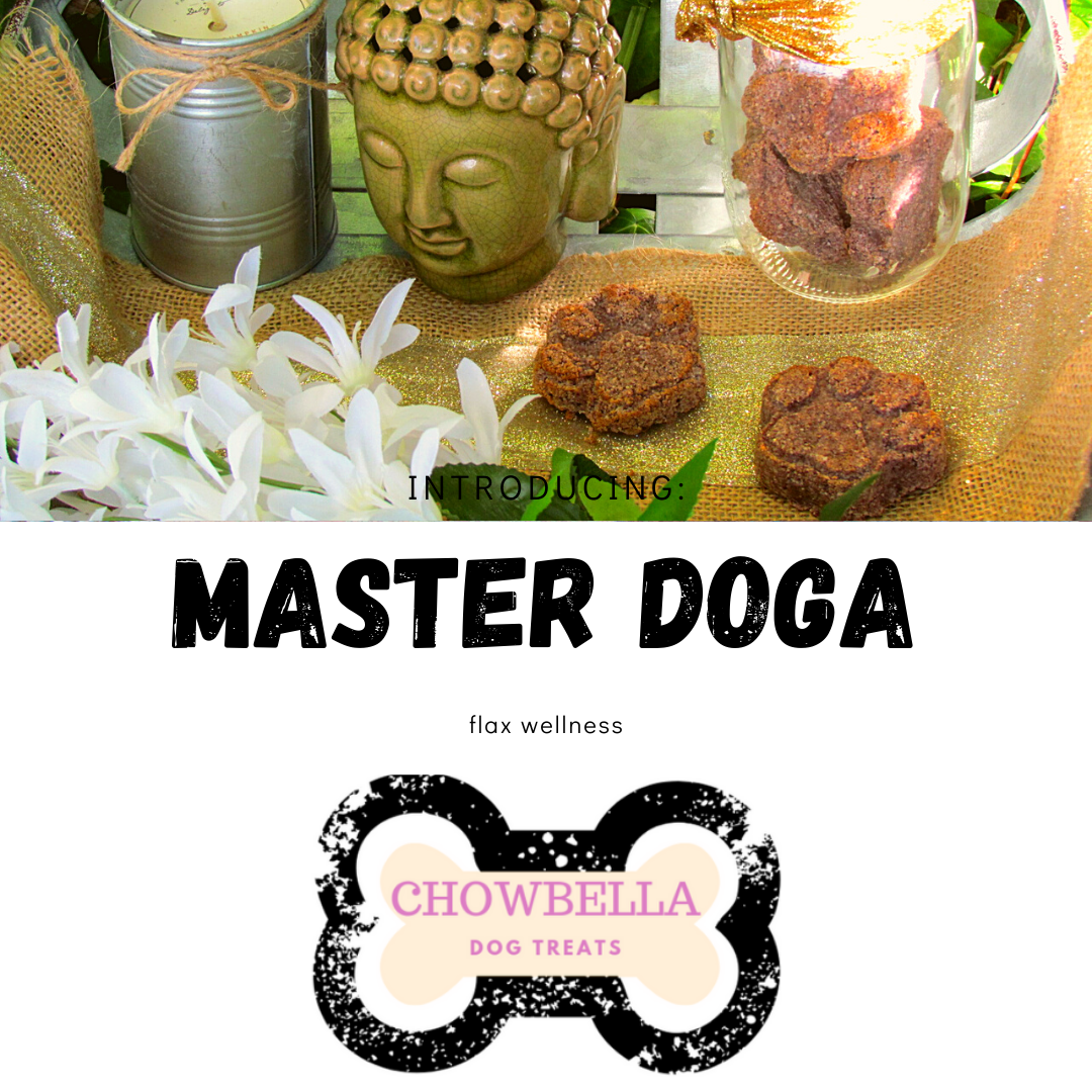 Master Doga